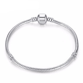 Charm Bracelet Snake Chain